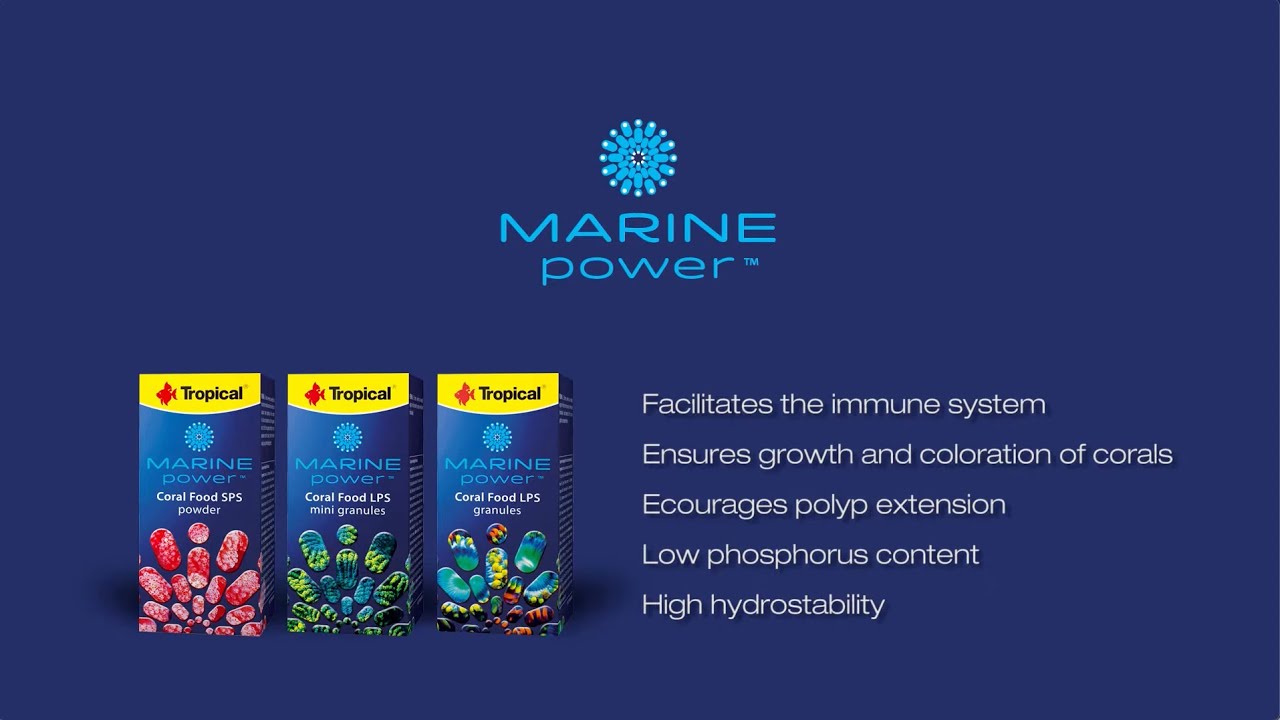 Tropical - Marine Power - CORAL FOOD LPS MINI GRANULES - Faunelia