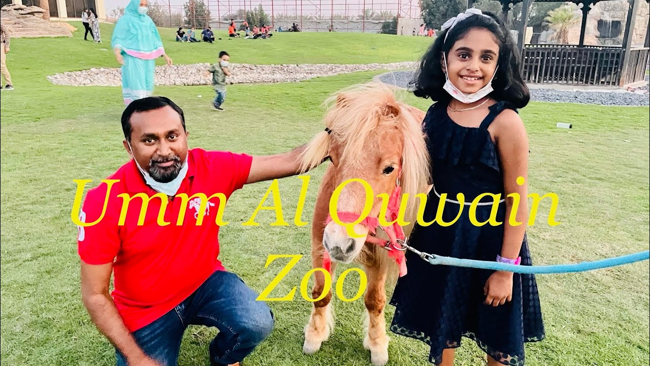 Must visit Umm Al Quwain Zoo, UAE || The wildlife park || offering a One of a kind experience 🐾