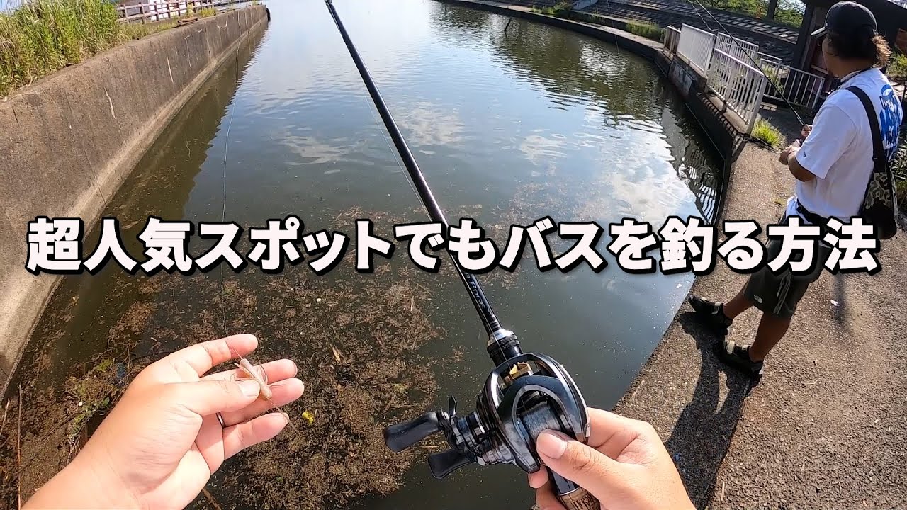 【霞ヶ浦アフター攻略】土浦エクストリーム！！！