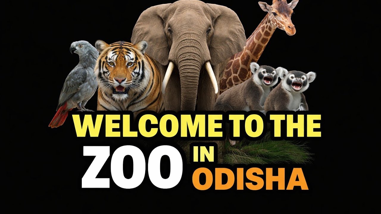 Nandankanan Zoo in ODISHA 