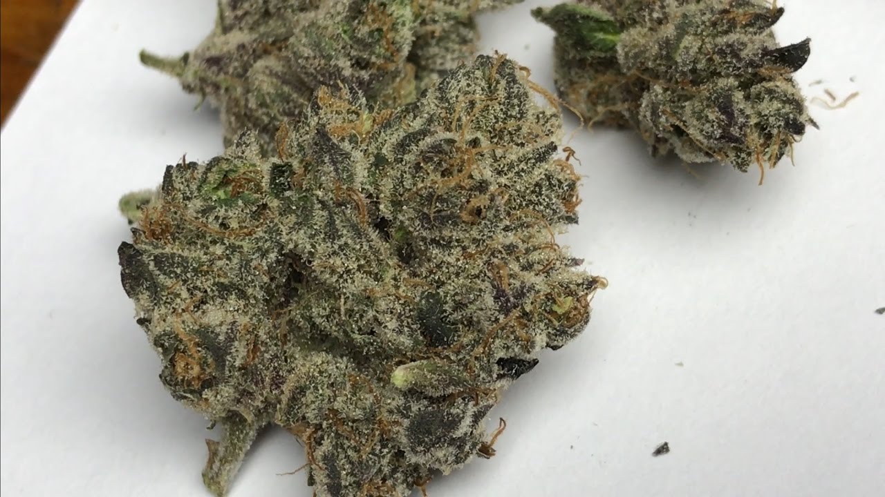 Cherry Cookies strain review!!