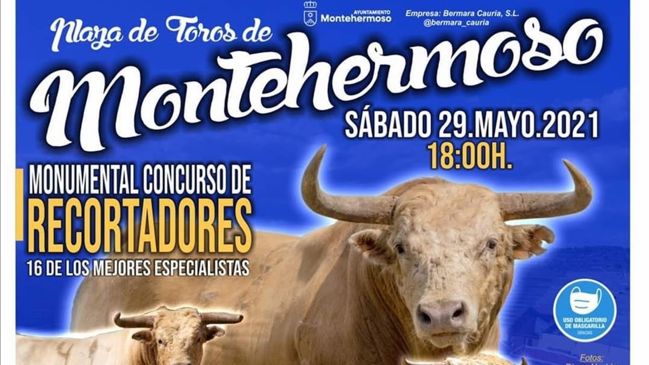 MONTEHERMOSO ESPECTACULAR CONCURSO DE RECORTADORES (CACERES) CON TOROS GANADERIA PRIETO DE LA CAL