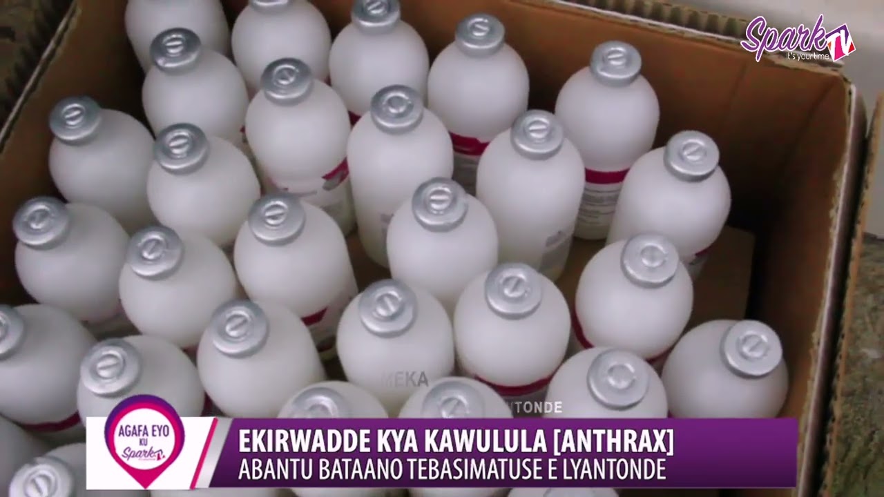 Abantu 5 bafudde ekirwadde kya Kawuula oba Anthrax e Lyantonde
