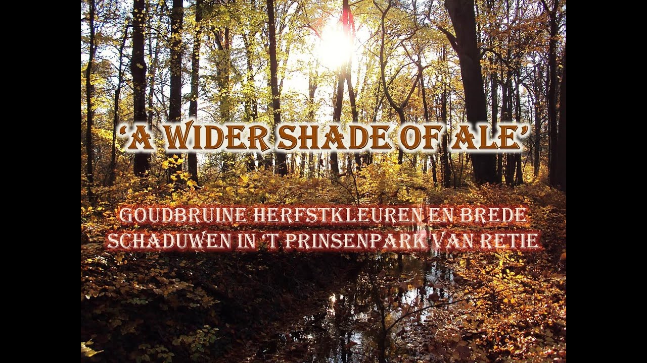 A Wider Shade Of Ale - Retie Prinsenpark, herfstkleuren
