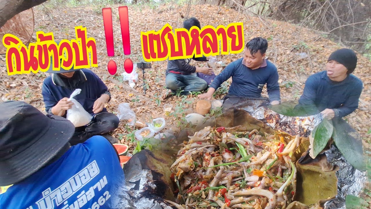 จกปลา  กินข้าวป่า‼️หมกปลา กินกันหลายๆคนแซบหลายครับ19ก.พ.69