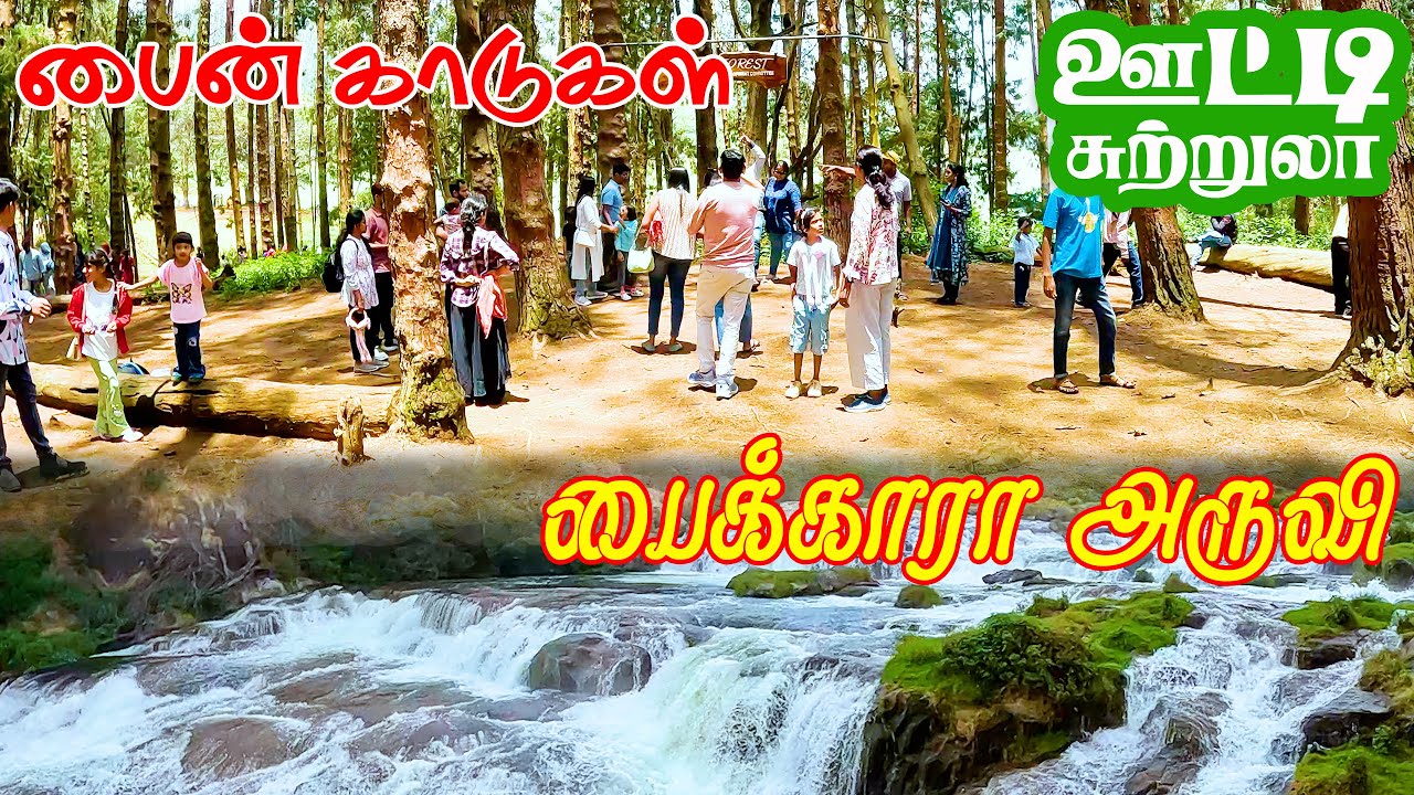 ஊட்டி சுற்றுலா - பைன் காடுகள் மற்றும் பைகாரா அருவி | Pine Forest Ooty | Pykara Falls | gptamil vlogz