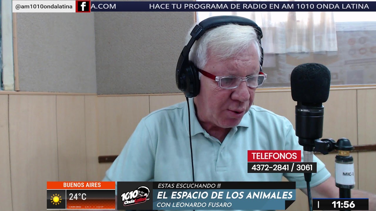 EL ESPACIO DE LOS ANIMALES -  28/02/26  - SABADOS 11:00 HS - AM 1010 ONDALATINA -