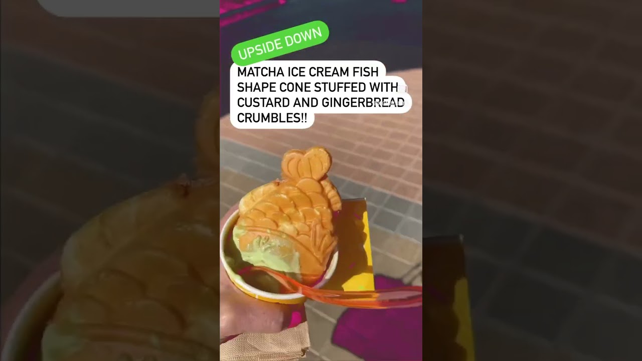 ICE CREAM FISH CONE....  I always have room for ice cream! 