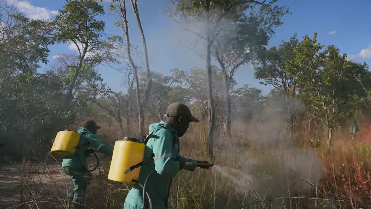Biodiversity credits for protecting nature at scale in Zambia