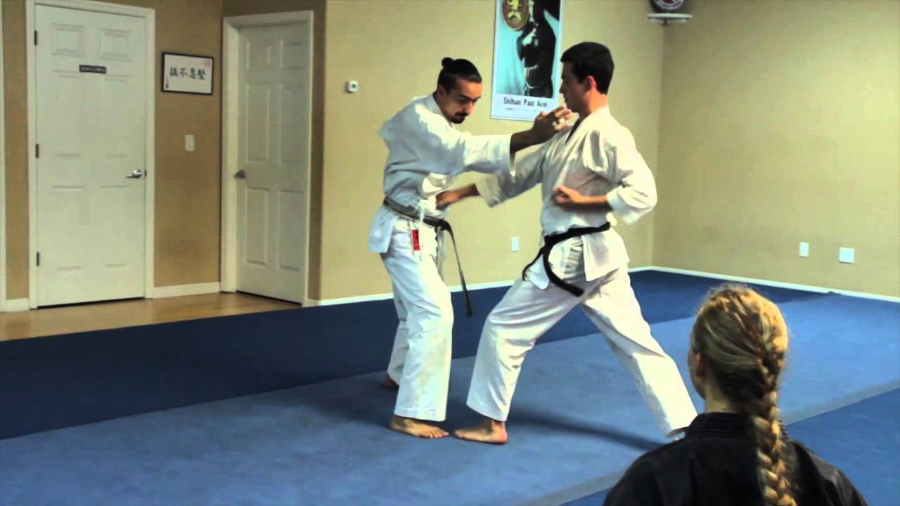 Karate Kata & Kumite Basics - Palm Coast, Florida
