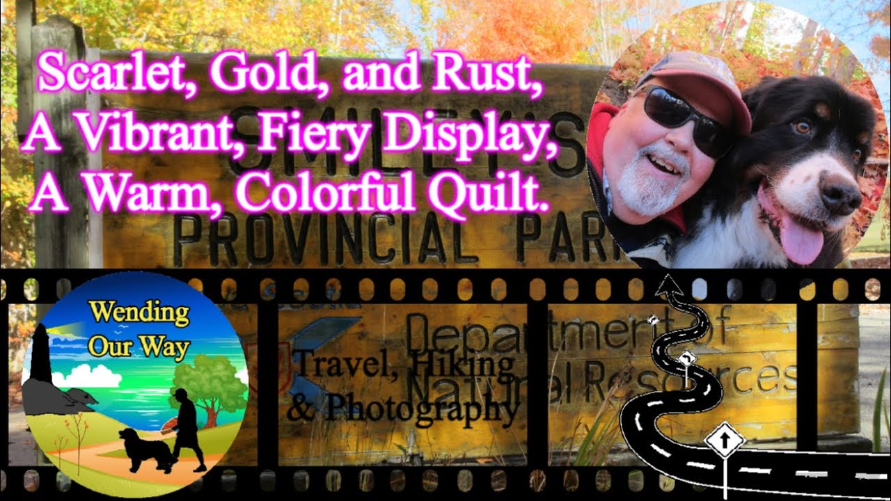 Scarlet, Gold, and Rust, A Vibrant, Fiery Display, A Warm Colorful Quilt | Smileys Provincial Park