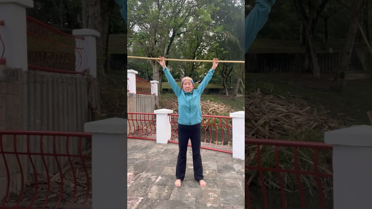 Stick mobility #fypシ #alignment #goodposture #deepstretching #stability #flexibility #balancing