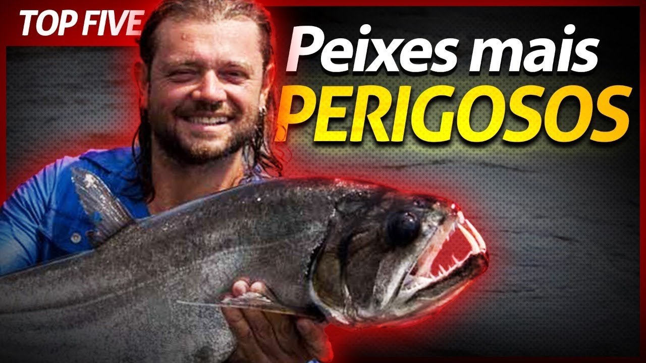OS CINCO PEIXES MAIS PERIGOSOS QUE EU JÁ ENCONTREI! | RICHARD RASMUSSEN