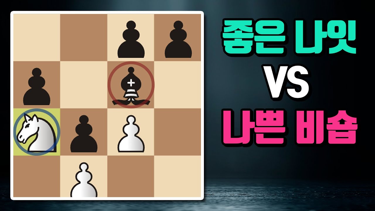 [체잘두싶] 세계챔피언 