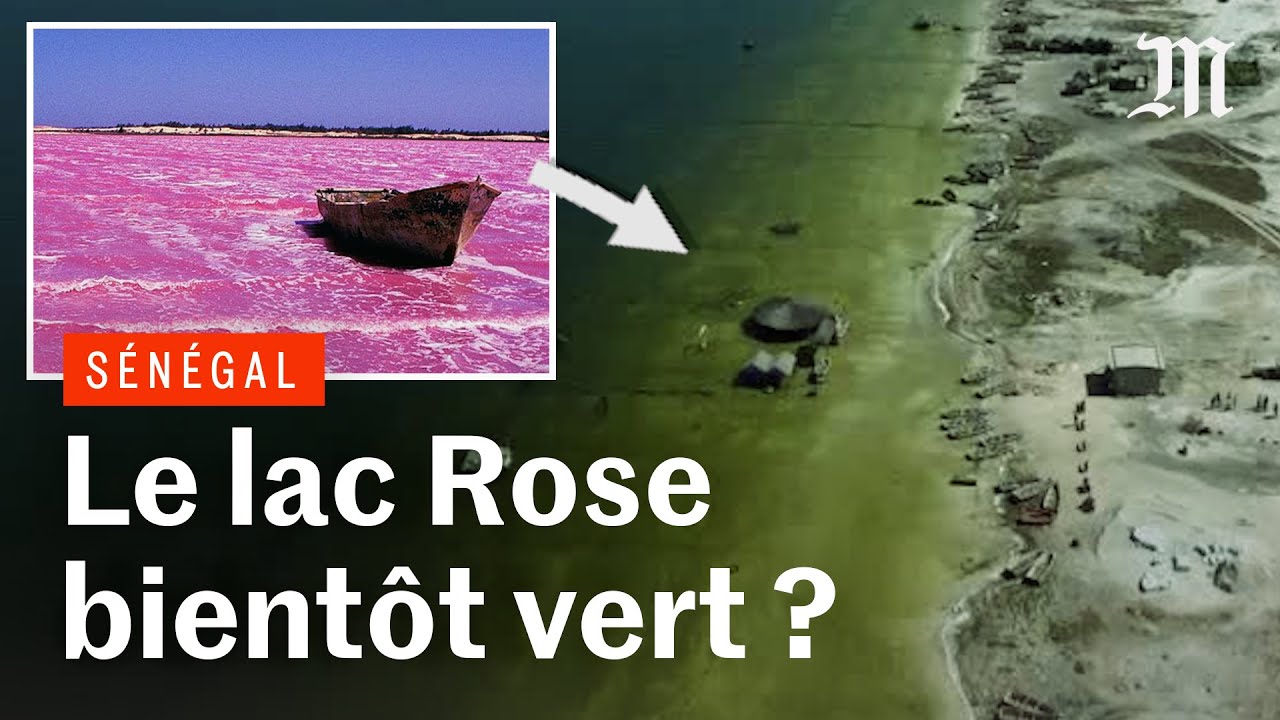 Pourquoi le célèbre lac Rose du Sénégal devient vert