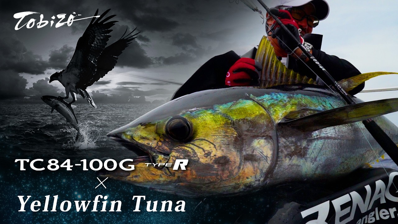 Top Water Yellowfin Tuna in Japan - Tobizo TC84-100G Type R