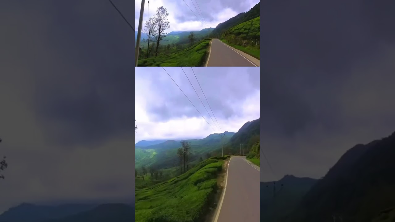 Munnar, see the beauty #munnarkerala #munnar #munnarvlogs #munnarvibes #keralagram #mallugram