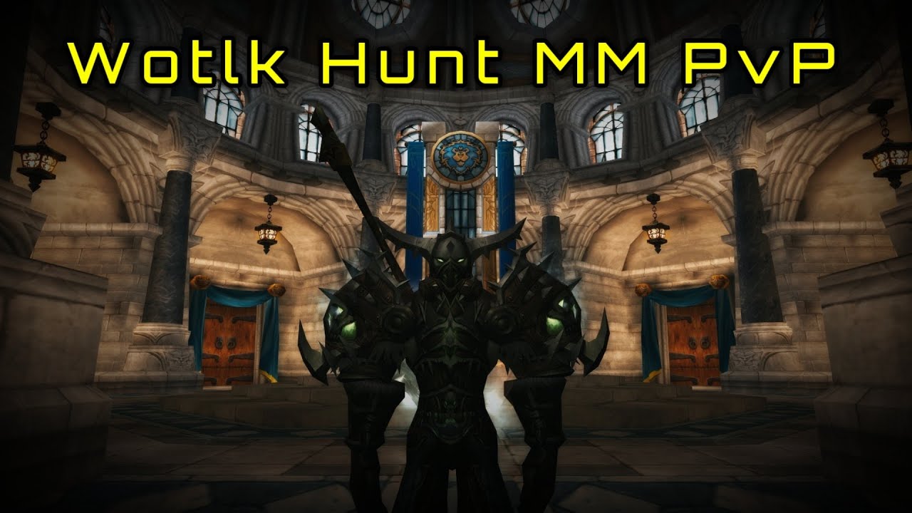 WoW Wotlk Hunter MM PvP - Warmane 
