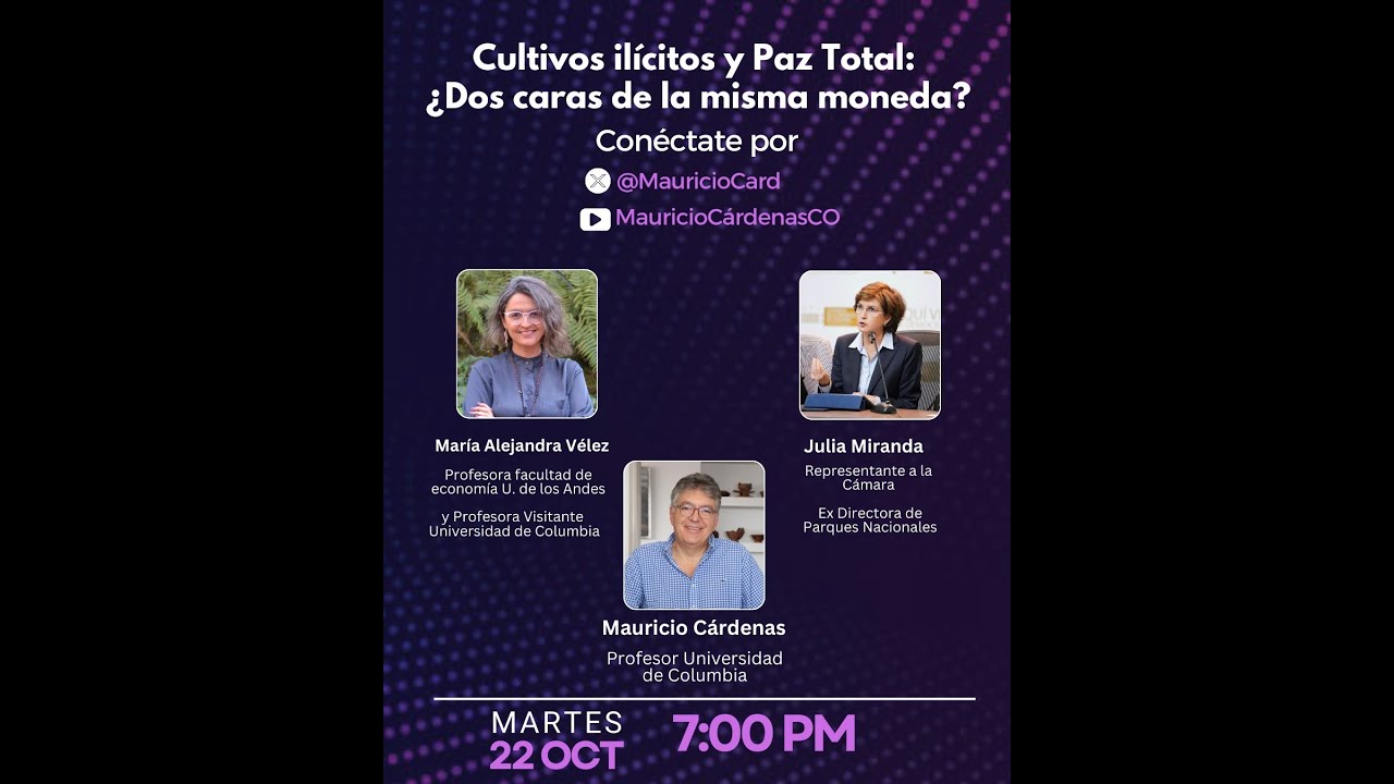 Cultivos ilícitos y Paz Total: ¿Dos caras de la misma moneda?