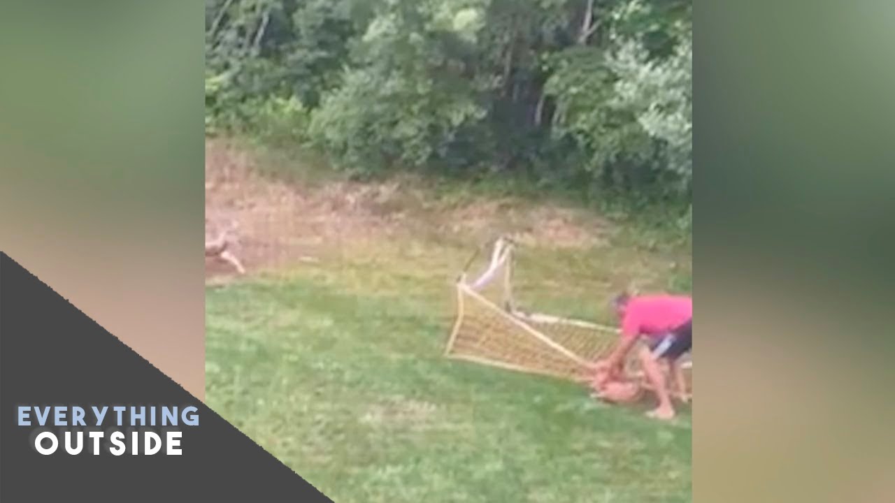 A baby deer stuck in a soccer net rescued with momma deer looking on