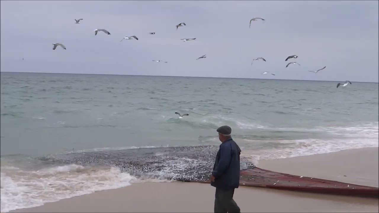 E O MAR FOI GENEROSO  -  Xávega - Marretas Ovar
