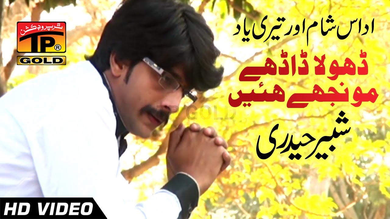 Hik Wari Phera Pa Wanj Dholan Monjhe Hain - Shabbir Haidri - New Song 2017