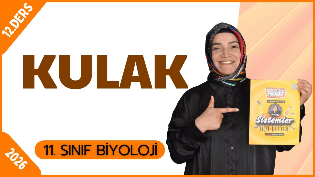Kulak Konu Anlatımı | 11.Sınıf Biyoloji | 2026 | Ücretsiz PDF
