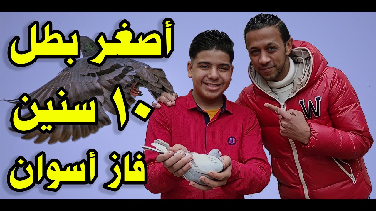 أصغر متسابق في مصر والوطن العربي # الحمام الزاجل  البطل حازم عمرو و فوزه في أصعب محطة للحمام  أسوان