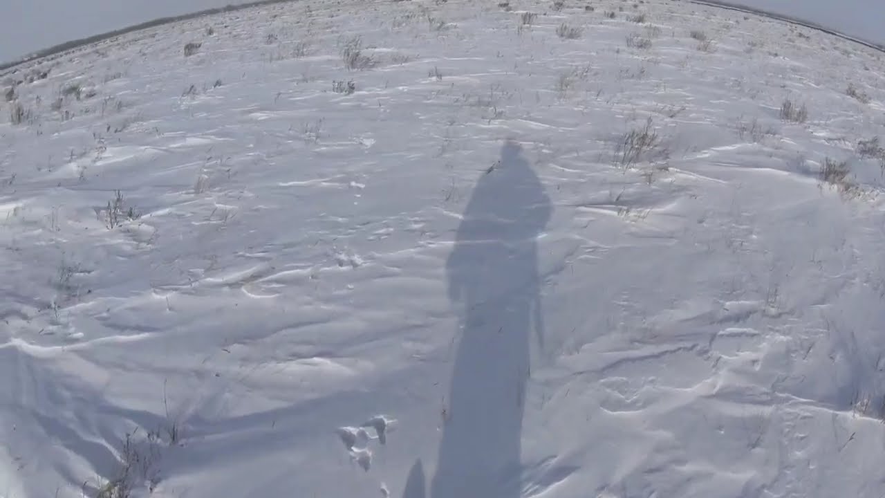Охота на зайца в Казахстане! Отличный Охотничий день! #охотаназайца #hunting