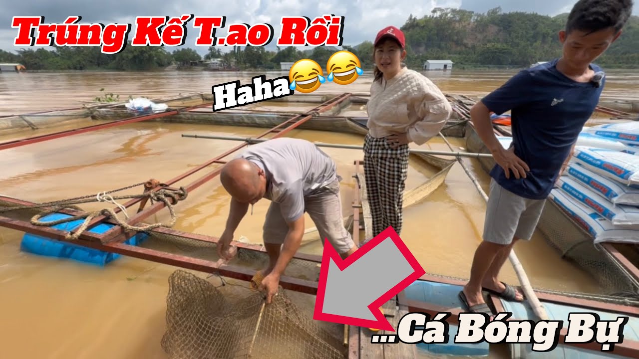 Dung Ế dụ Ông Đầu Trọc Thăm Lú ,Bất ngờ dính được Con Cá Bóng Chà Bá Lửa