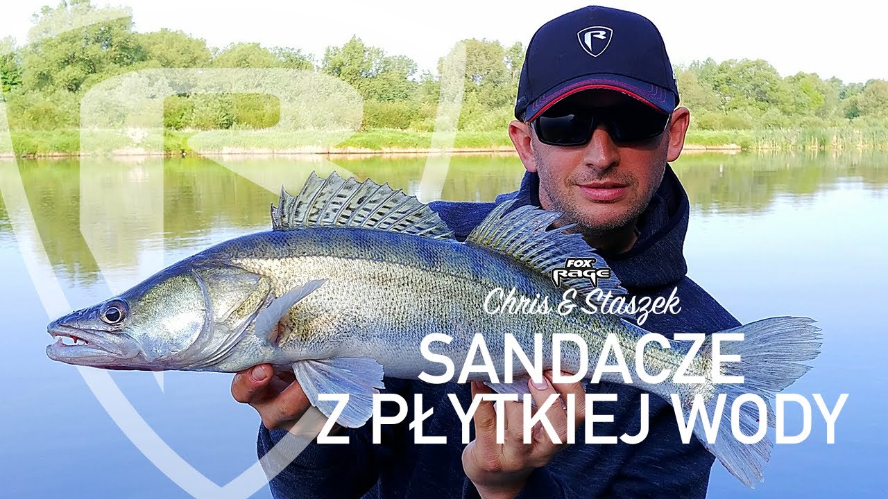*** Fox RAGE TV *** SANDACZE Z PŁYTKIEJ WODY