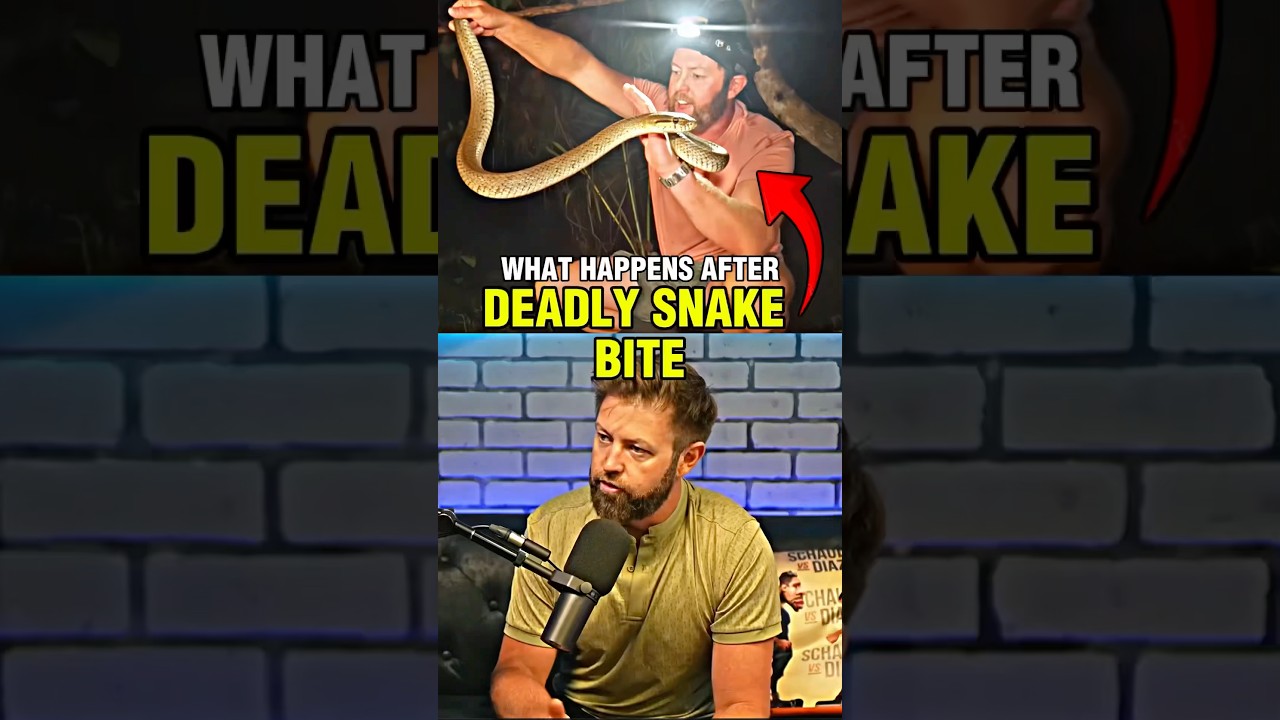 Что делает смертельный укус змеи? — Форрест Галанте