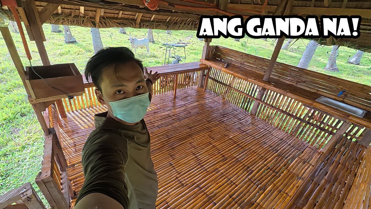 Nag-Barnis Kami ng Bahay Kubo sa Farm
