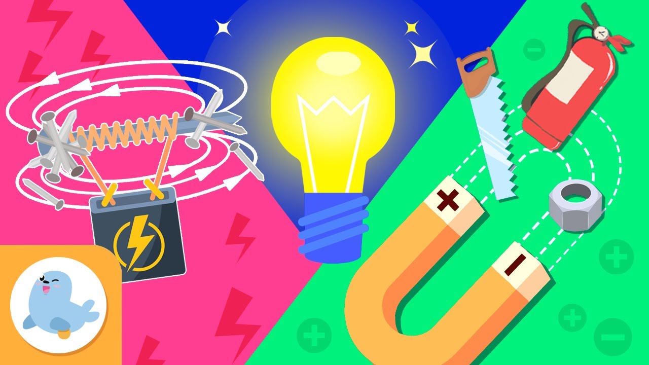 L'ELETTRICITÀ, il MAGNETISMO e l'ELETTROMAGNETISMO ⚡ Scienza per bambini 💡 RACCOLTA