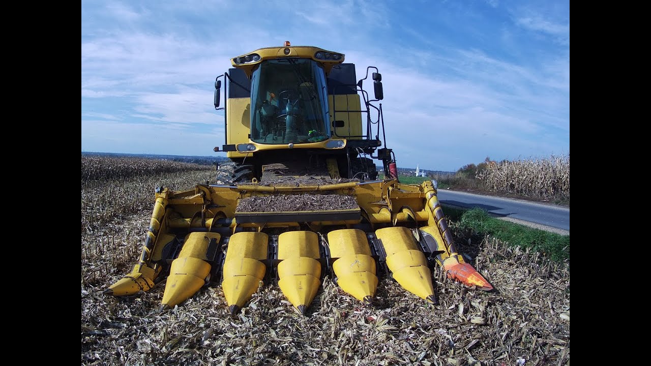 KUKURYDZA NA ZIARNO 2025 / GR PRZYBYŁA / NEW HOLLAND CSX7050 / STEYR 4120 III ECOTECH / KRONE