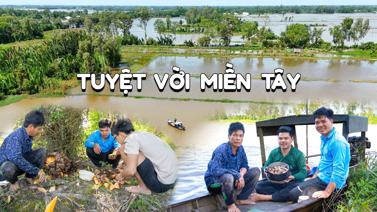 Trải Nghiệm Du Lịch Miệt Đồng Đi Trên Ghe Nhỏ Đốn Dừa Nước Và Đào Khoai Rạng Nấu Ăn Trên Ruộng