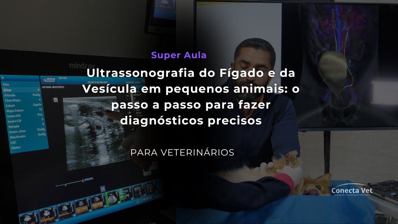 Ultrassonografia do Fígado e da Vesícula em pequenos animais