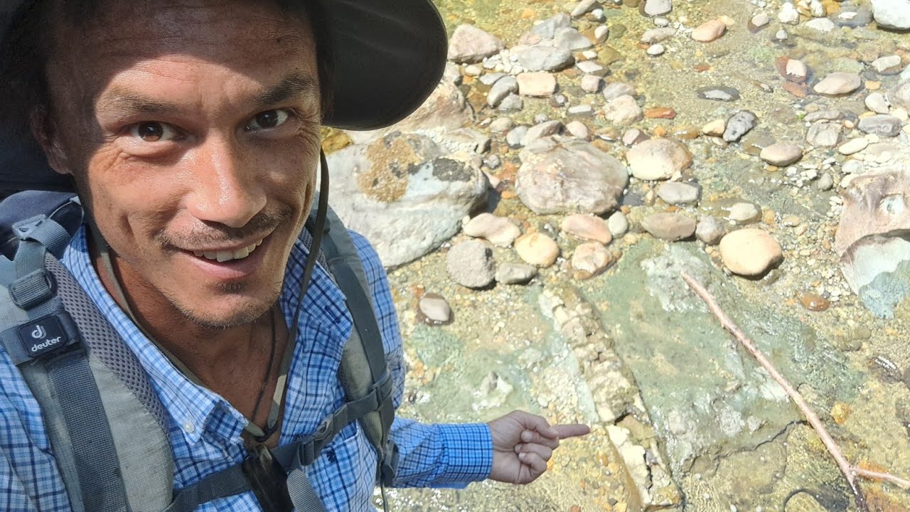 Good Times, Amazing Finds, Dino Fossil?