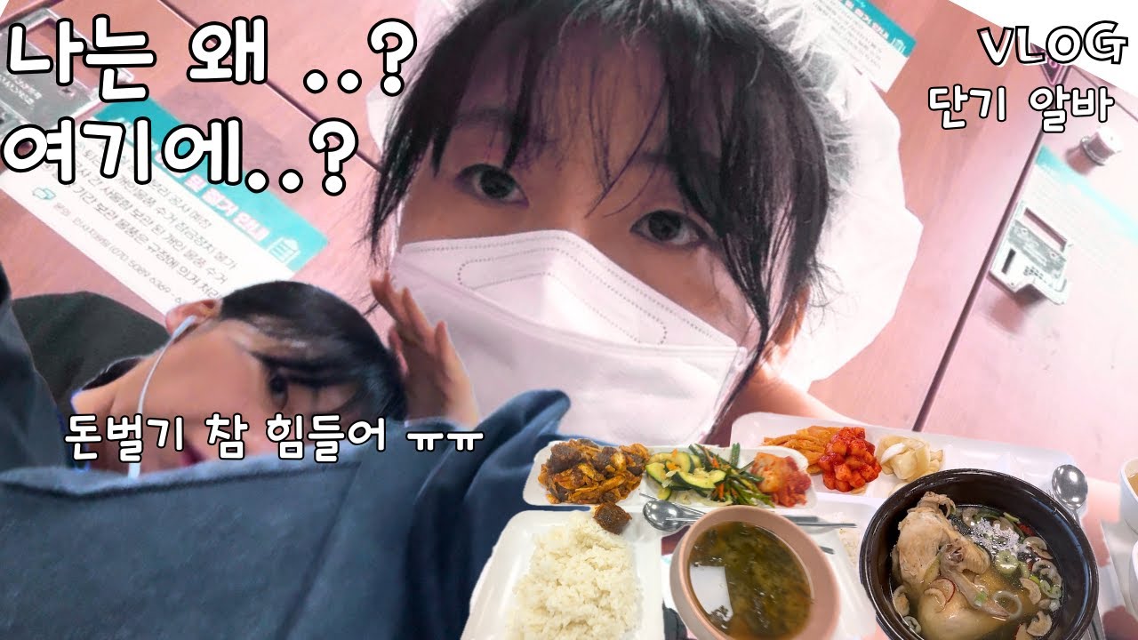 내가 이 알바를 할줄이야.... 물류 단기 알바 VLOG & 마켓컬리 후기