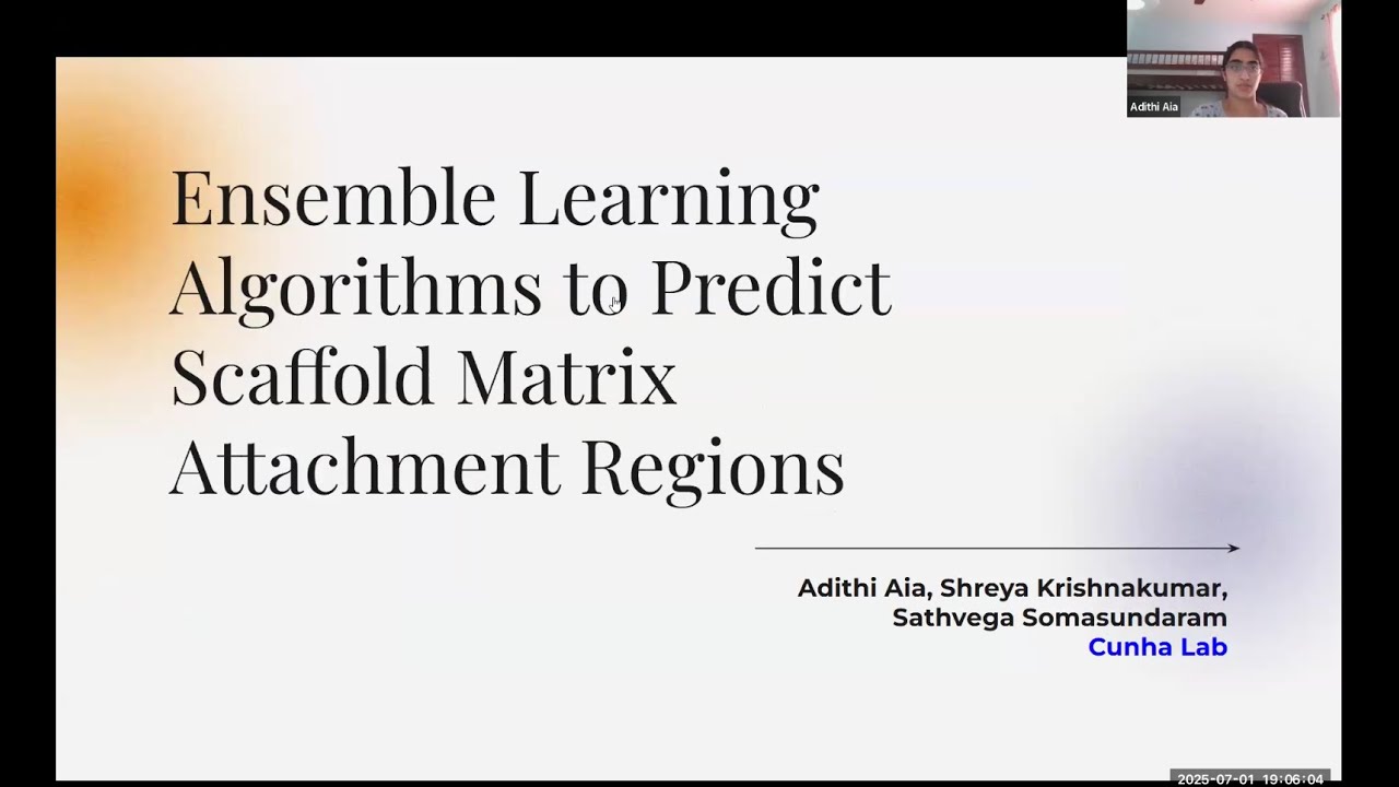 Ensemble Learning Algorithms to Predict Scaffold Matrix Attachment Regions