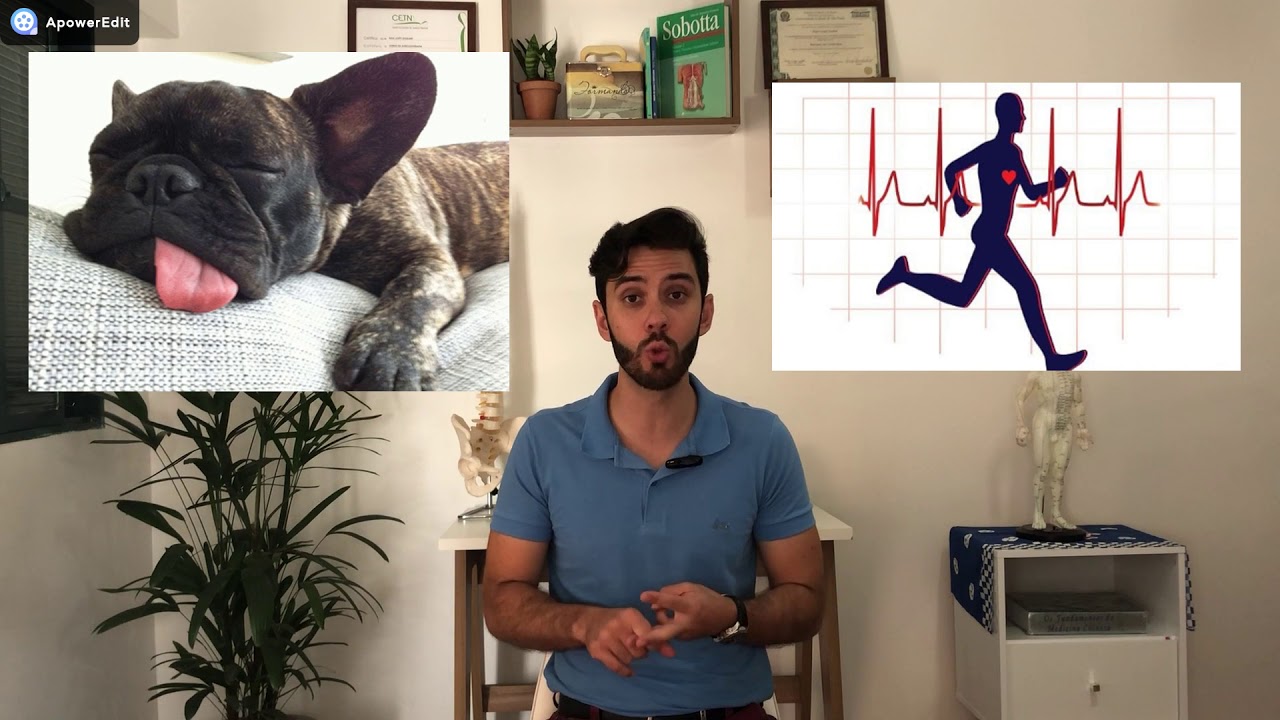 🌑Meridiano de Intestino Grosso - Acupuntura