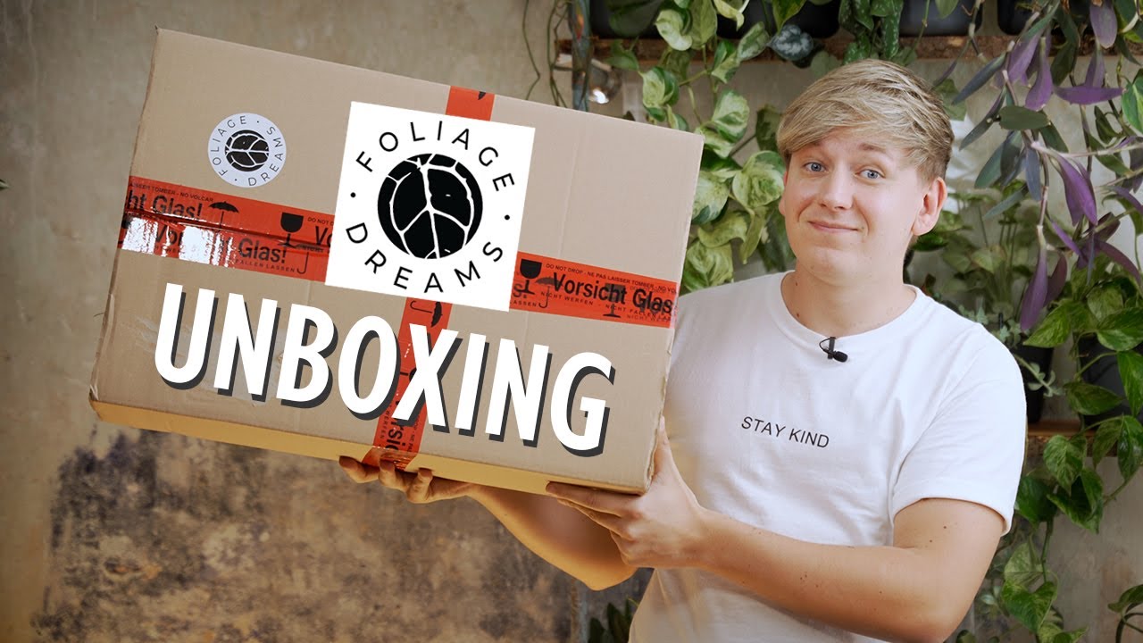 Warum das NICHT mein letztes Pflanzen Unboxing von Foliage Dreams sein wird 😱 | Plant Haul