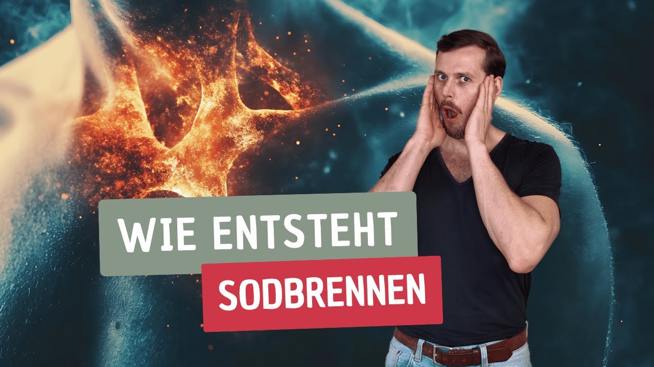 Reflexbogen & Ernährung: Wie Sodbrennen wirklich entsteht | Der Osteopathe klärt auf