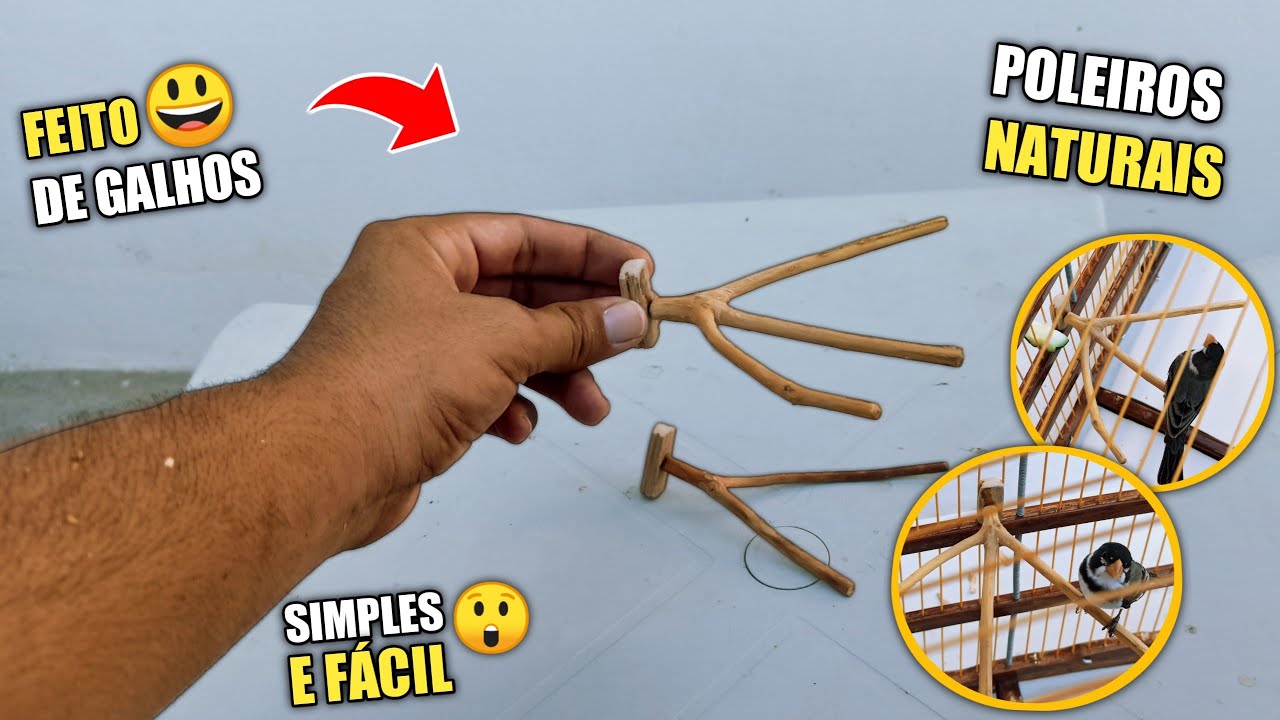 😱 POLEIROS ( NATURAIS ) FEITO DE GALHOS ! *Muito fácil*