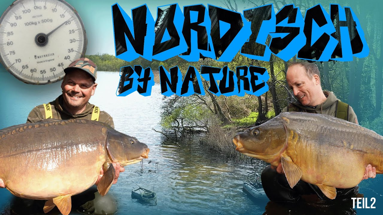 🎣 Karpfenangeln im Frühling an Mecklenburger Seen | Tatik Technik Erfahrungen 🤫 - Teil 2