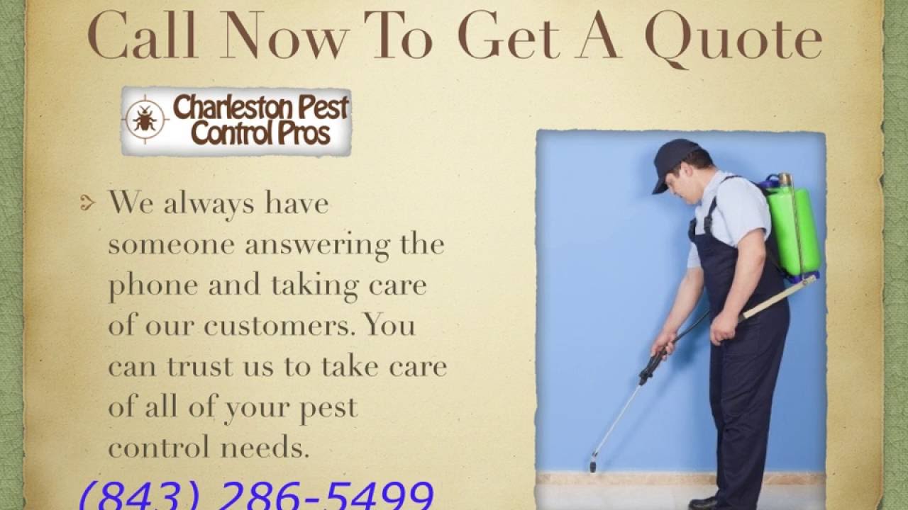 Bed Bug Exterminator in Charleston SC - Charleston Pest Control Pros