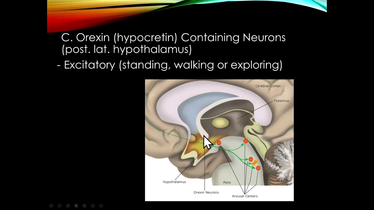 Sleep Disorders