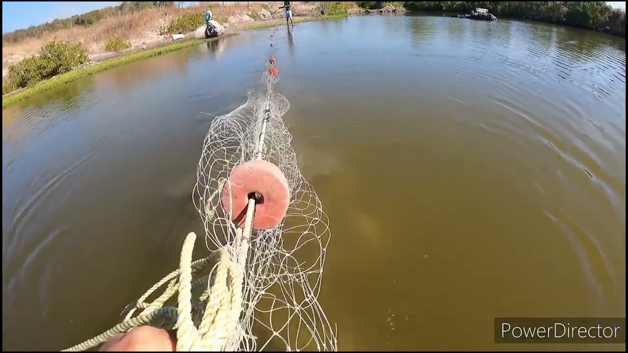 pesca de robalos con trasmallo ,pesca deferente