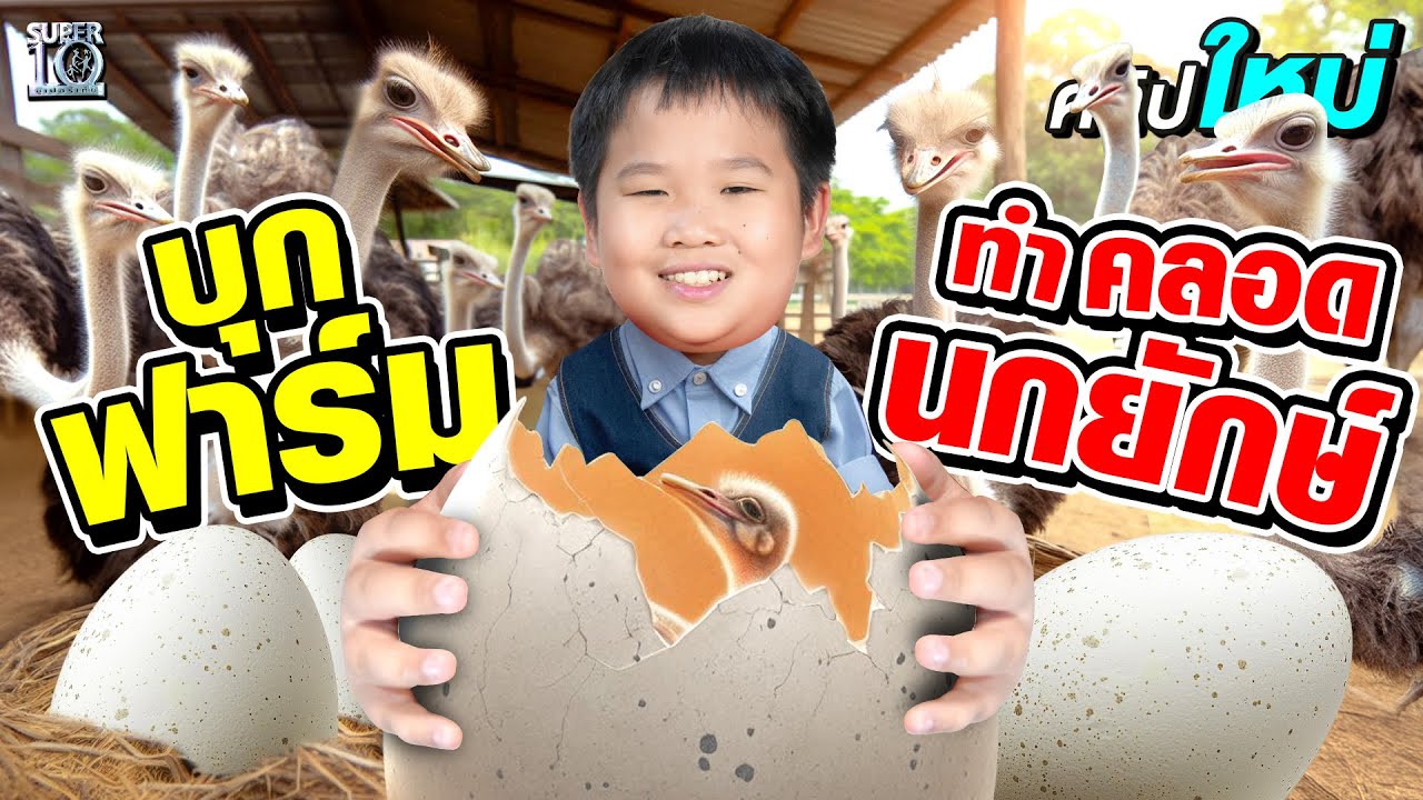 ทำคลอดนกยักษ์ เจ้าหนูกูรูตัวจิ๋ว #น้องรัน พาตะลุยฟาร์มราชบุรี  | SUPER10