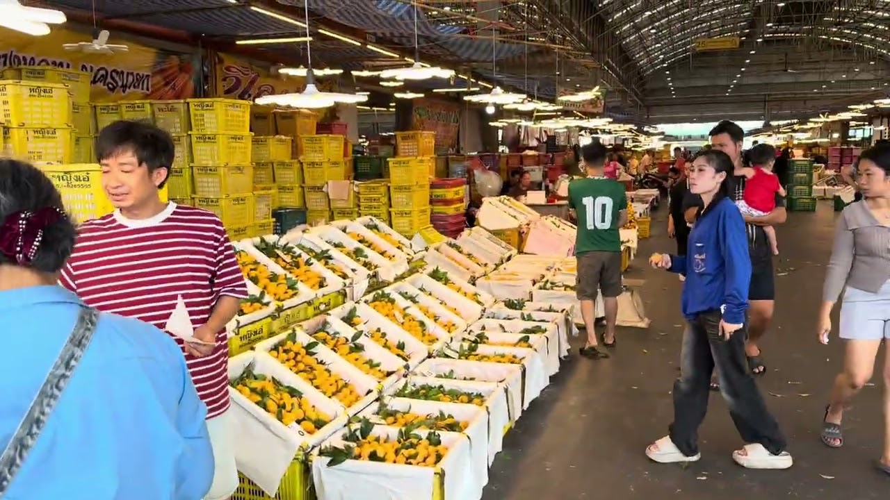 “ตลาดค้ามะยงชิดนครนายกที่ใหญ่และเยอะที่สุด”ตลาดไทยินดีต้อนรับ24ชั่วโมงนะครับ🙏💜🌹
